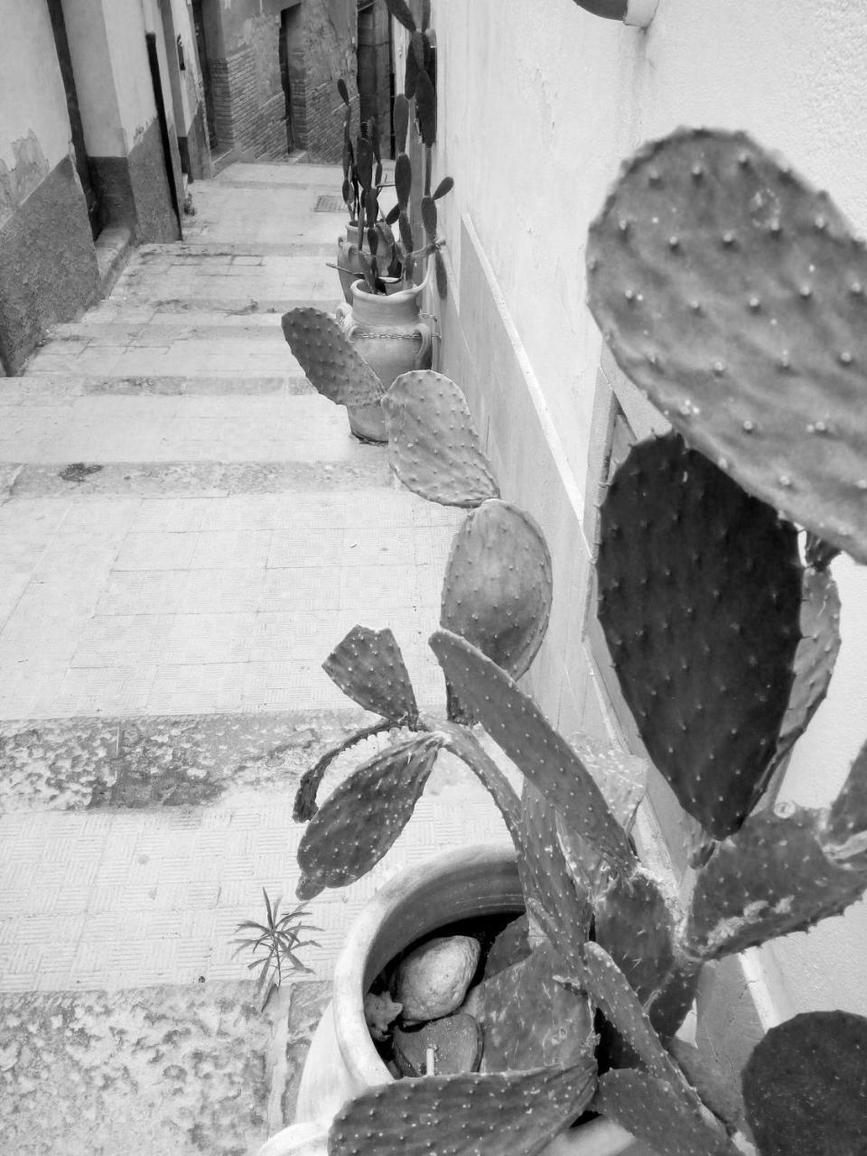 B&B Al Centro Storico Agrigento Esterno foto